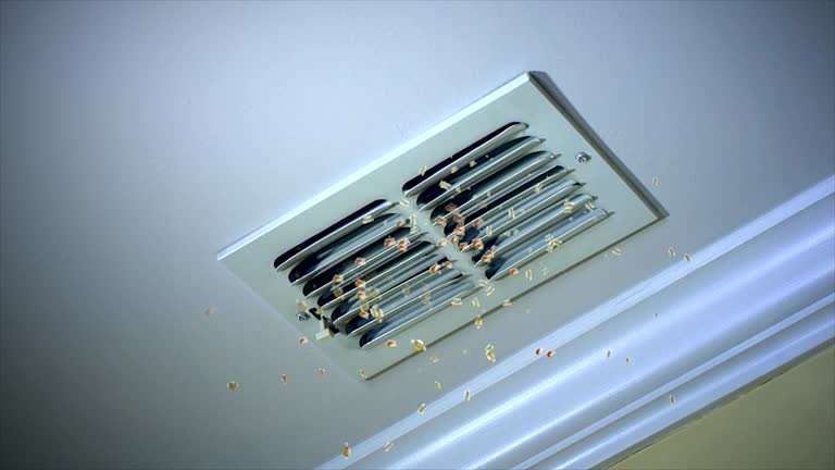 Best Air Duct Cleaning Near Me  in King George, VA